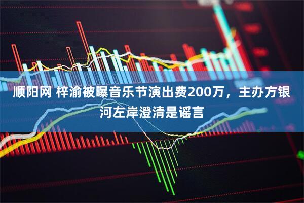 顺阳网 梓渝被曝音乐节演出费200万，主办方银河左岸澄清是谣言