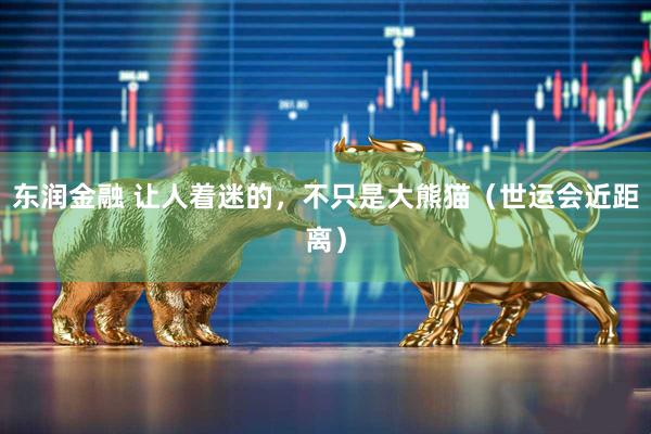 东润金融 让人着迷的，不只是大熊猫（世运会近距离）